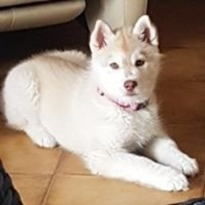 Meet your Posher, Judelle